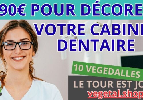 690€ pour décorer plafond végétal de votre cabinet dentaire