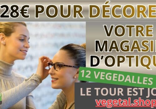 828€ pour décorer plafond végétal de votre magasin d'optique