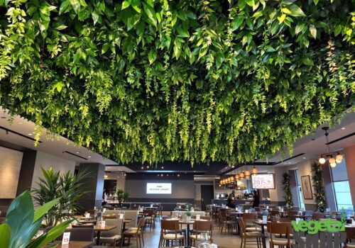 comment avoir une decoration vegetale sans entretien dans un restaurant