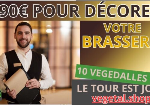 690€ pour décorer plafond végétal de votre brasserie
