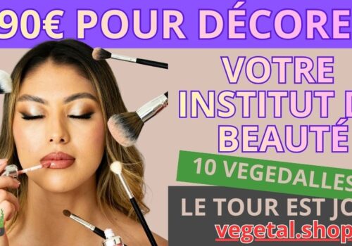 690€ pour décorer plafond végétal de votre institut de beauté