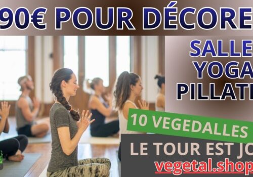 690€ pour décorer plafond végétal de votre salle yoga pillates