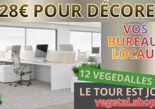828€ pour décorer plafond végétal de vos bureaux locaux