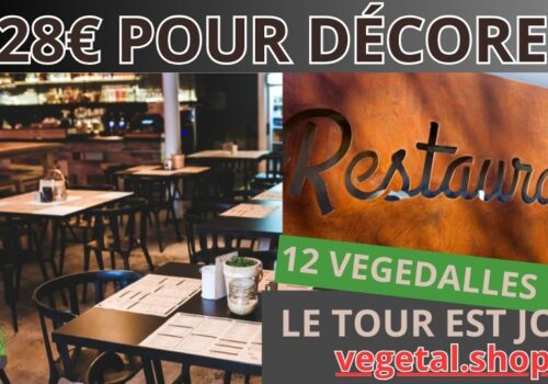 828€ pour décorer plafond végétal de votre restaurant