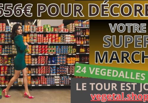 1656€ pour décorer plafond végétal de votre supermarché