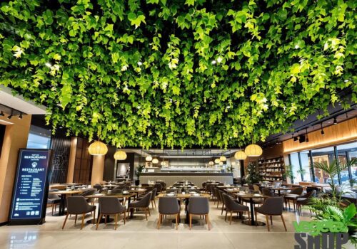 comment-attirer-des-client-dans-un-restaurant