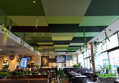 dalle-faux-plafond-multi-couleur-vegetal.shop