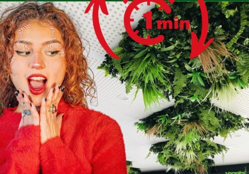 Pflanzenplatte für Zwischendecke