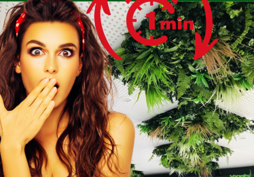 placa de techo vegetal VEGETAL SHOP