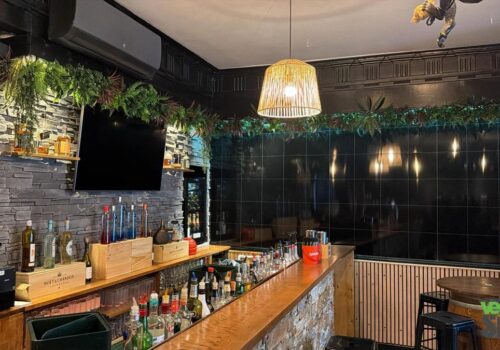 plafond végétal artificiel ignifugé pour bar brasserie